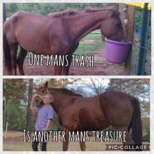 Fostering Helps