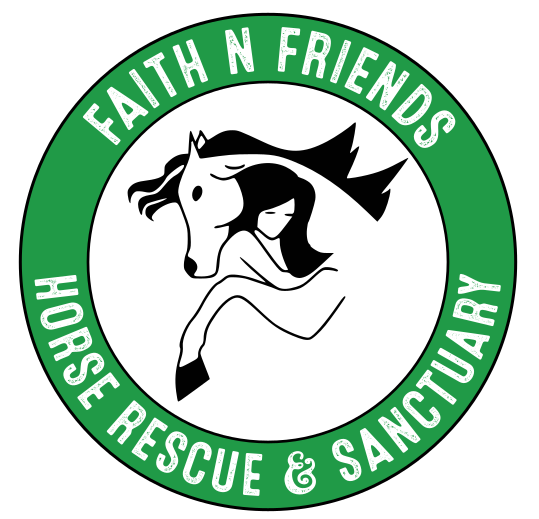 Faith N Friends